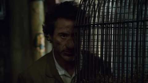 Холмс выслеживает Ирэн Адлер.