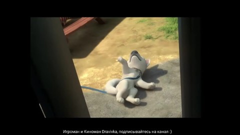Вольт учиться выпрашивать еду