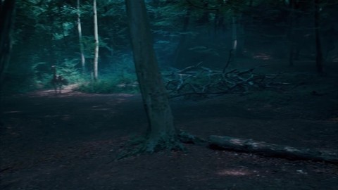 Гарри и Полумна кормят нарглов. Гарри Поттер и Орден Феникса.