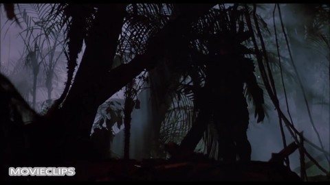Хищник (1987) — Ловушка — Сцена из фильма 10/11