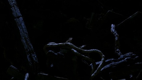 Монстр Франкинштейна ЖИВ Сцена (5/10) | Ван Хельсинг (2004) HD