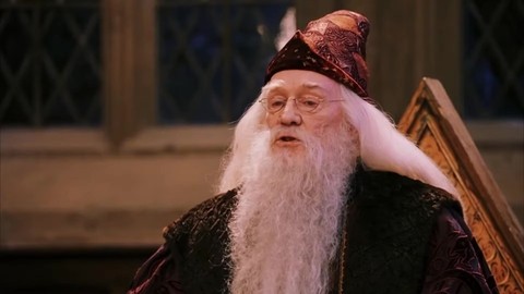 Распределяющая шляпа. Гарри Поттер и философский камень.