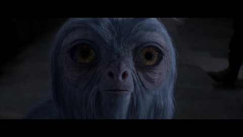 Ньют ловит в чайник фантастическое существо - Аками