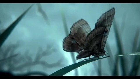 Легенды Ночных Стражей (2010) - Встреча с Копушей.