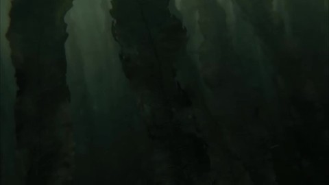 Второй тур под водой. Гарри Поттер и Кубок огня.