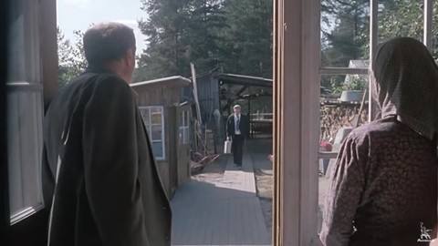 Любовь и голуби - Василий вернулся!