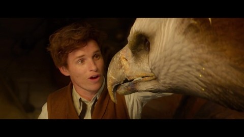 Залезли в чемодан, тут целый мир тварей