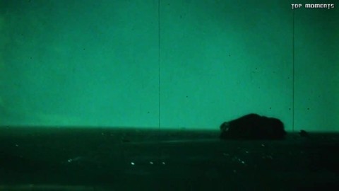 Не ты ли сказал, что если олень, то не надо сворачивать! Грайндхаус (2007)