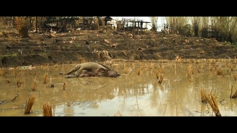 Жить бесцельно. Или умереть ради чего-то! Рэмбо 4. 2008