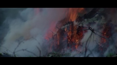 Английские солдаты нападают на деревню. Ловушка для англичан. Разговор Роберта со своим отцом.