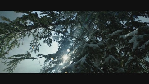 ПРОБУЖДЕНИЕ В ЛОШАДИ HD (Выживший)
