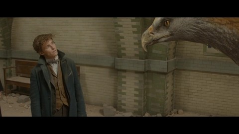 Ньют накладывает заклятие забвиния на город