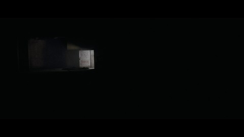 Роберт устанавливает ловушку. UHD
