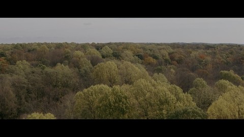 Анна и Итан добираются до колонии.UHD
