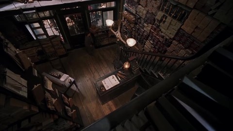 Гарри покупает первую волшебную палочку. Гарри Поттер и философский камень.