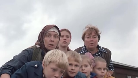 Любовь и голуби, кадриль