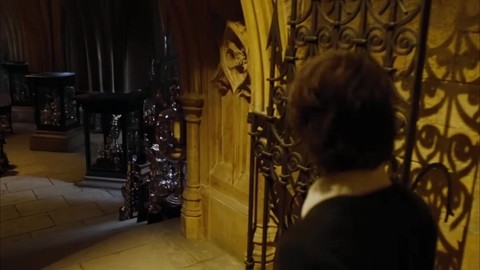 Гарри чемпион и участник турнира. Гарри Поттер и Кубок огня.